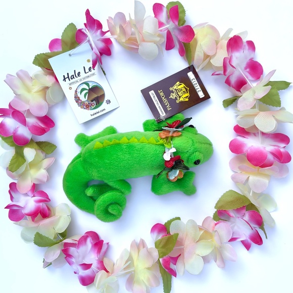 Adopt an Island Chameleon - Akela - Picture 4 of 4